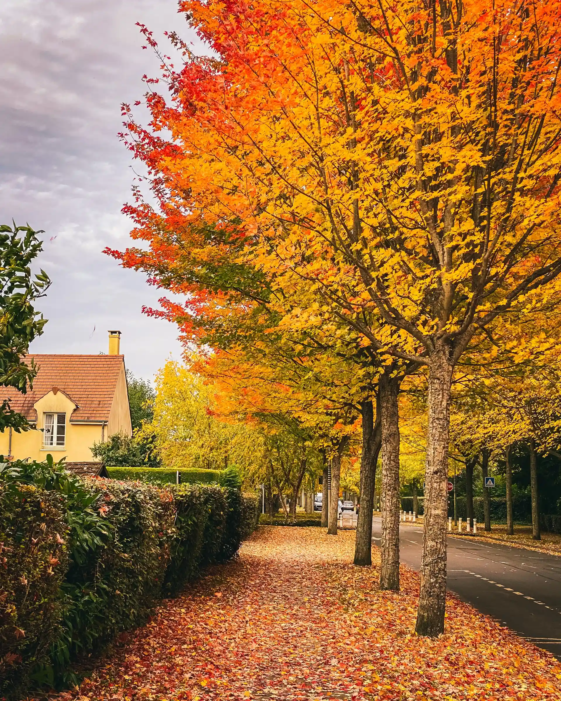 autumn season